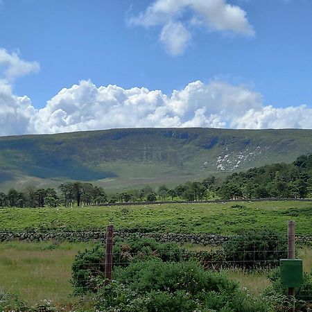 מלון Moyad Oakwood Glamping Mourne Mountains מראה חיצוני תמונה