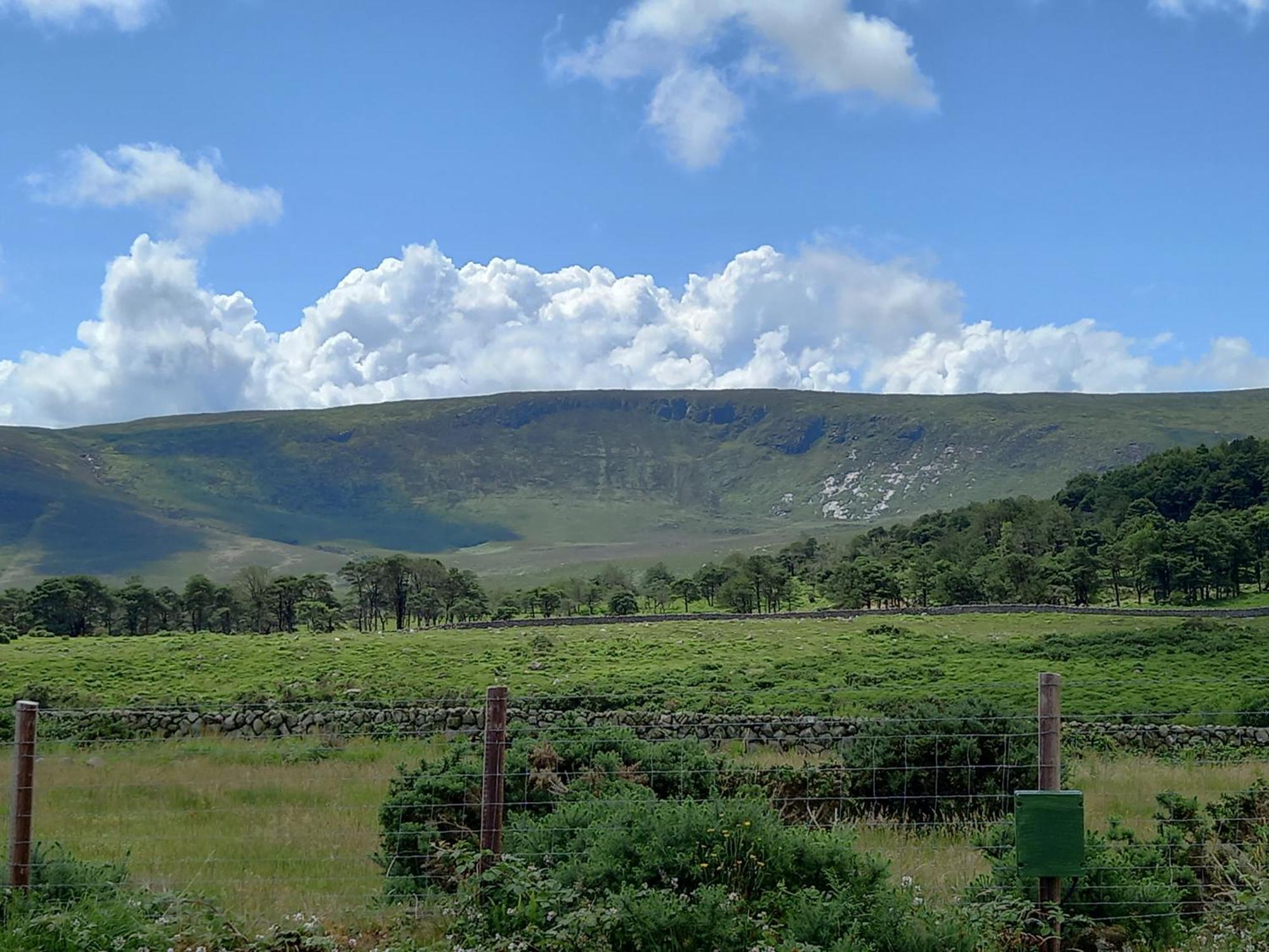 מלון Moyad Oakwood Glamping Mourne Mountains מראה חיצוני תמונה